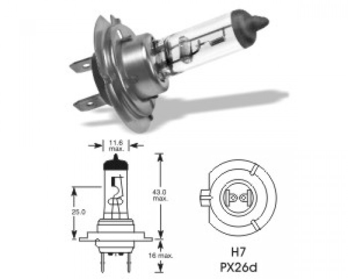 žárovka QLUX 12V/H7